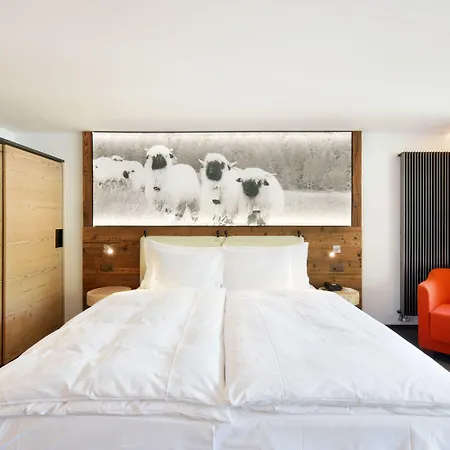Europe & Hotell