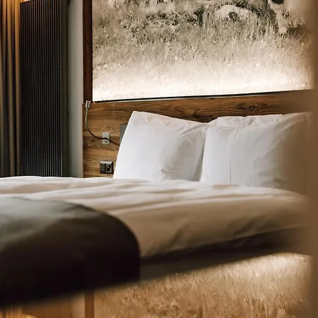 欧洲酒店和温泉中心 酒店 4*