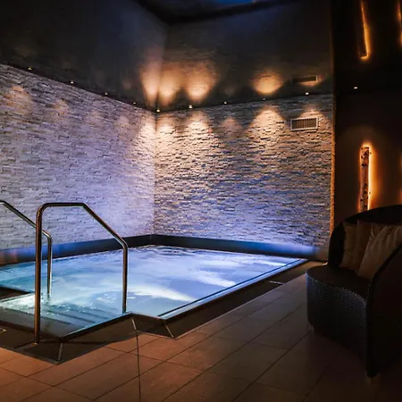 酒店 欧洲酒店和温泉中心 采尔马特