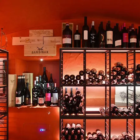 欧洲酒店和温泉中心 采尔马特