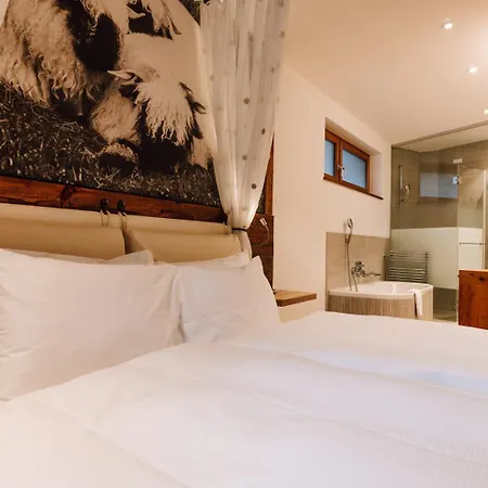 欧洲酒店和温泉中心 4*