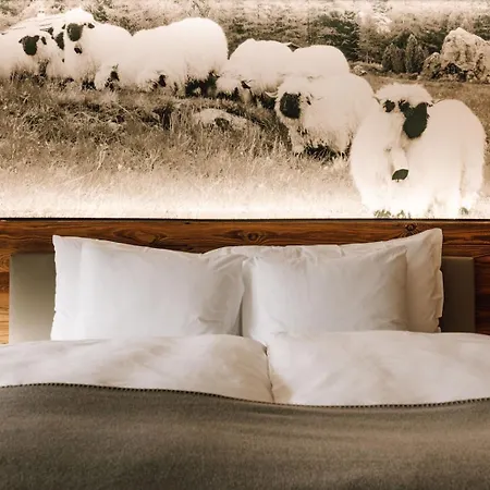 Hotel Europe & 4*